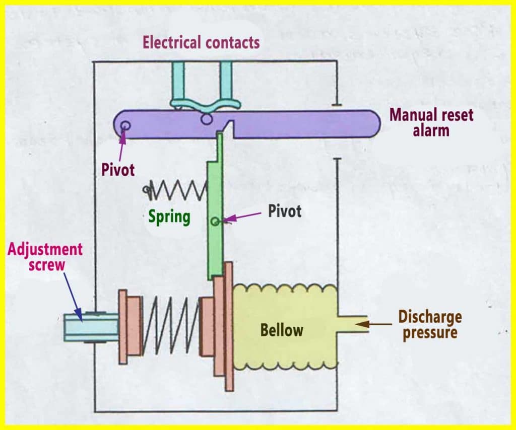 Parts of a Refrigerator: A Visual Guide